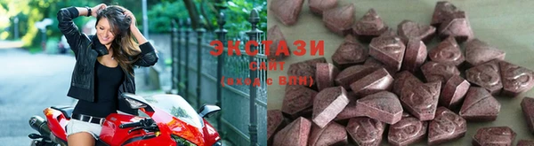 прущие грибы Вязники