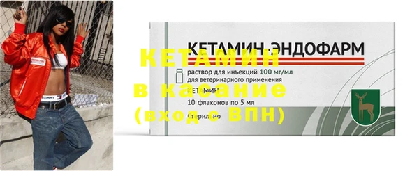 прущие грибы Вязники