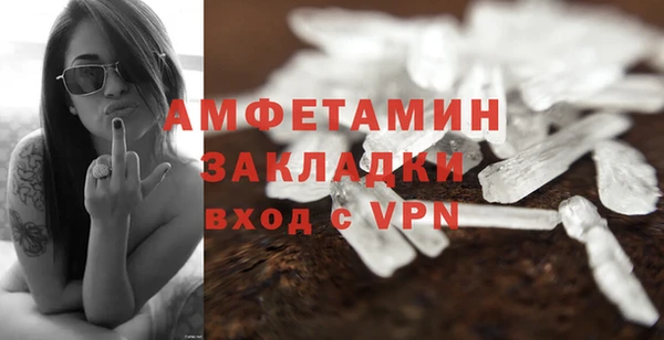 прущие грибы Вязники