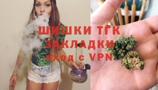 прущие грибы Вязники